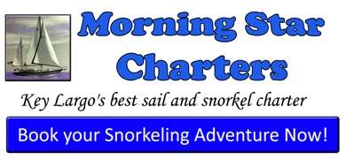 morning star Charters